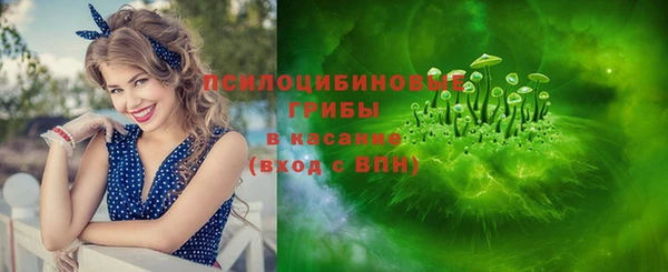 стафф Протвино